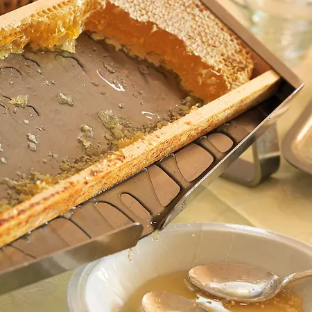 Hotel Grand Mediterranee Alassio